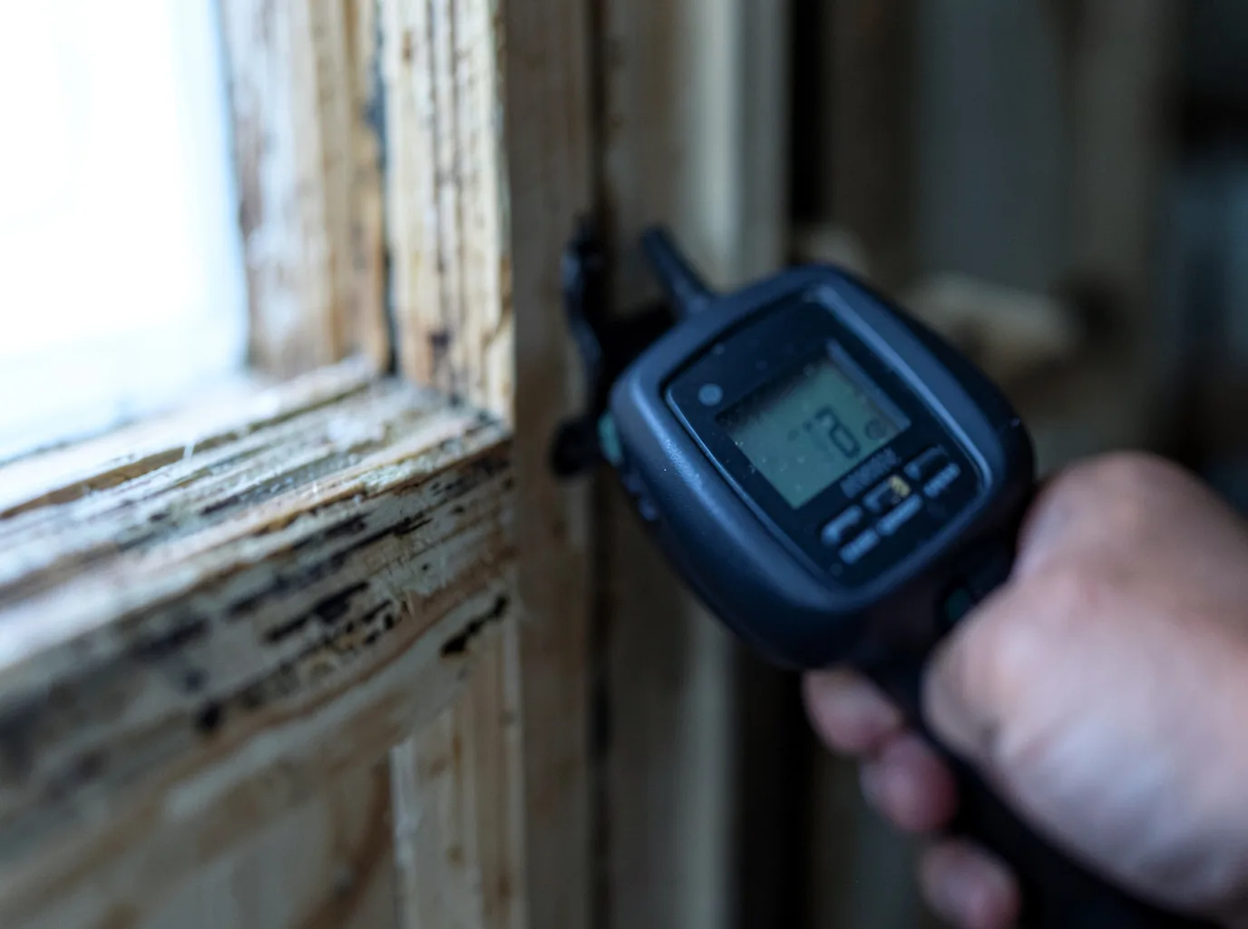 Moisture Inspection And Documentation in Newton, IA